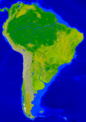 Amerika-Süd Vegetation 2812x4000